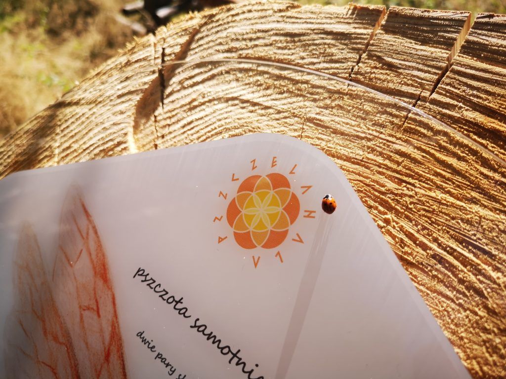 Pszczela Hala - Ośrodek Edukacji Przyrodniczej